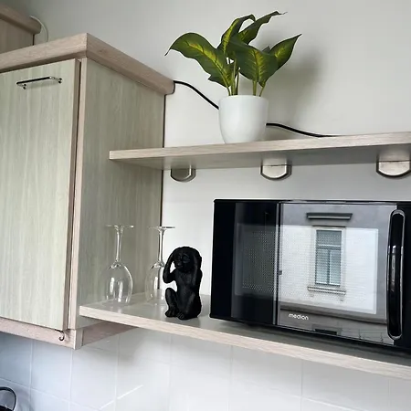 Lägenhet Am Waldschloesschen Mit Kueche Und Netflix *