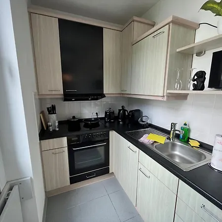 Am Waldschloesschen Mit Kueche Und Netflix Lejlighed Dresden