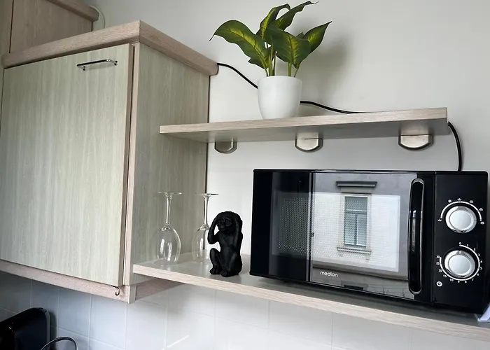 公寓 Am Waldschloesschen Mit Kueche Und Netflix *